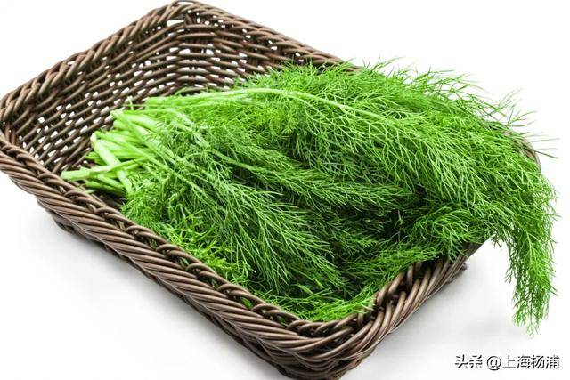 調味料也是“藥”！用對了美味又保健<strong></p>
<p>調味料</strong>，可以多吃一點！:調味料